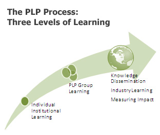 Graphic: The PLP Process: Three Levels of Learning